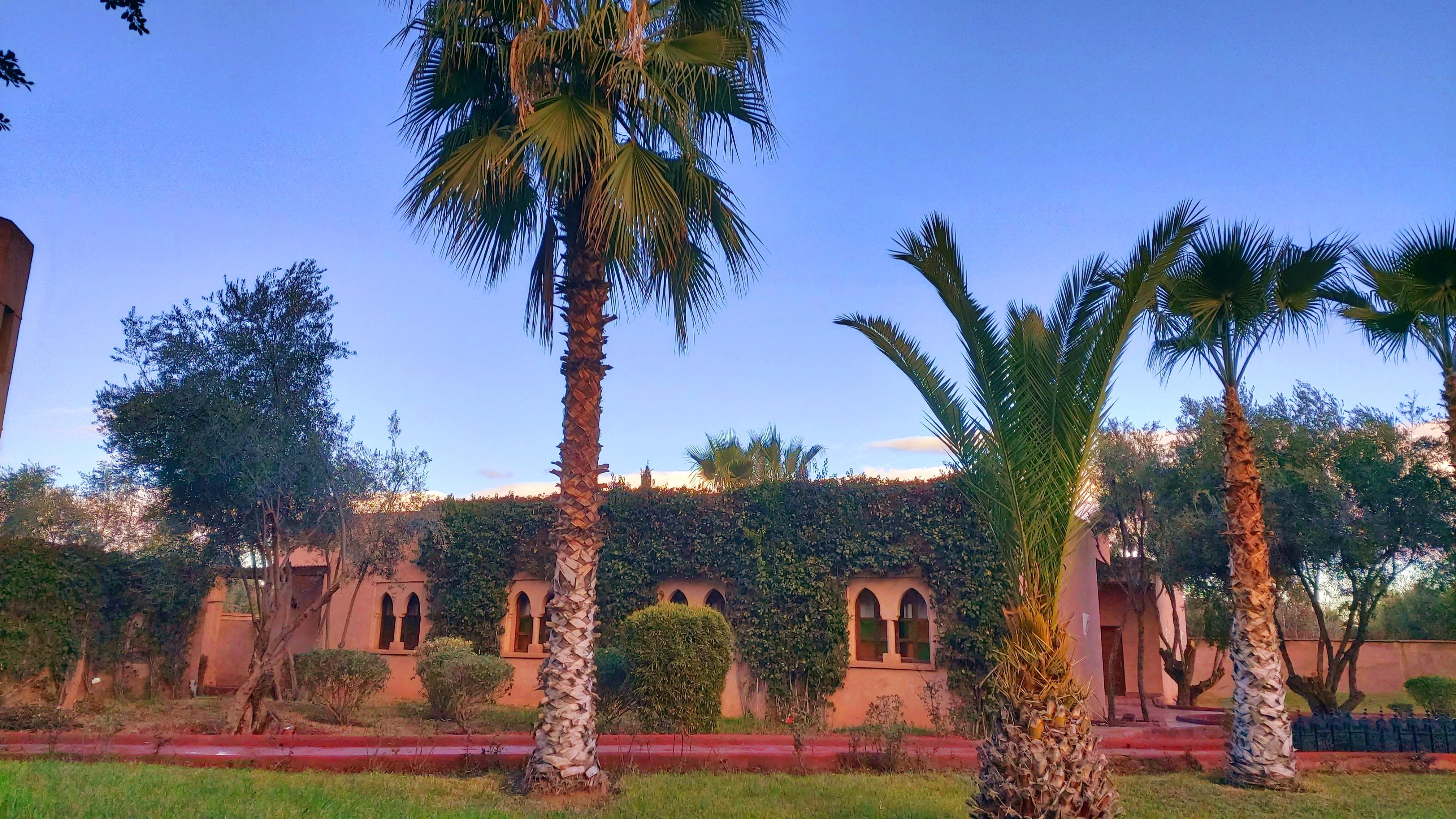 La Maison Des Oliviers Marrakesh Exterior foto