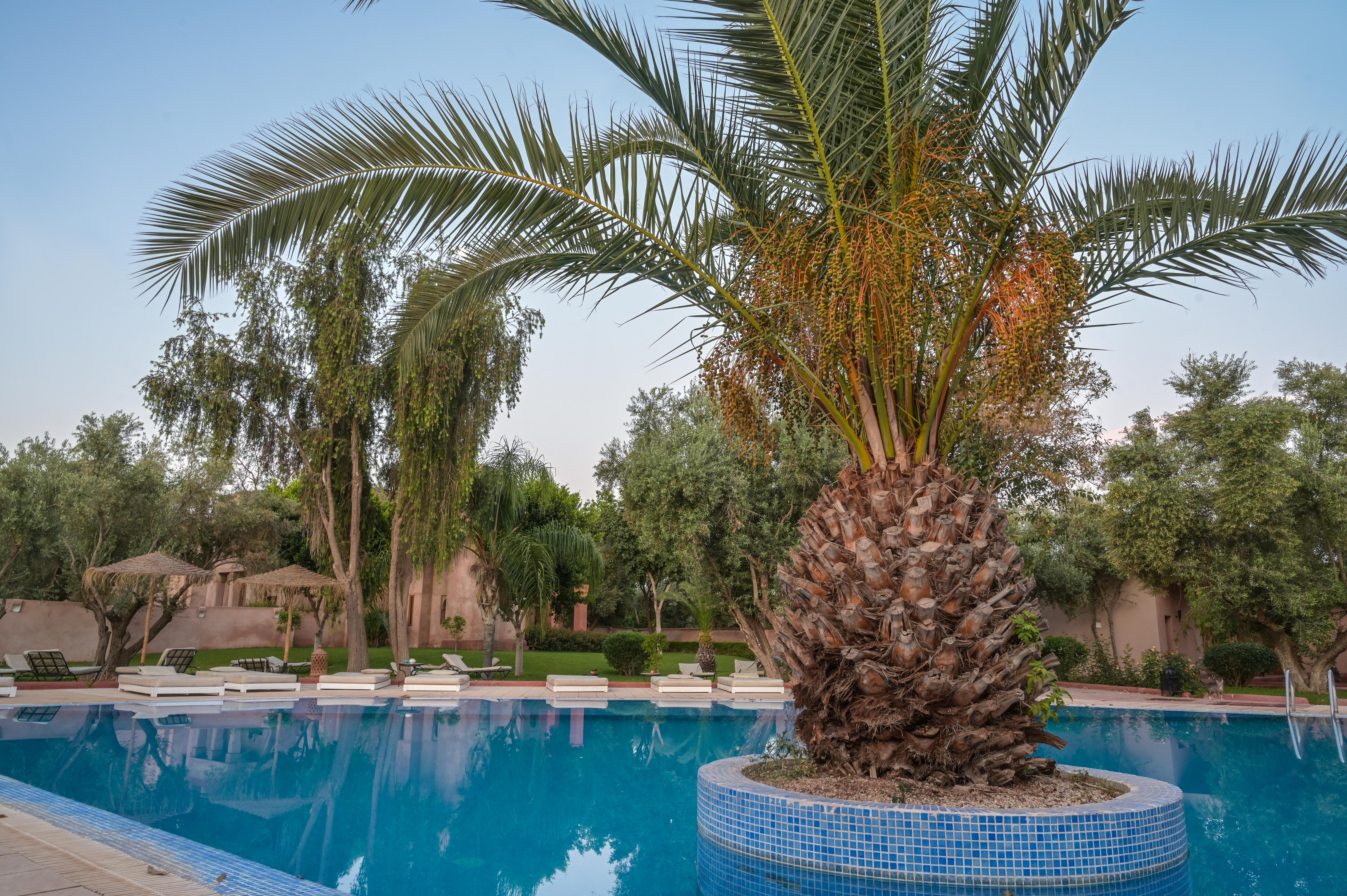 La Maison Des Oliviers Marrakesh Exterior foto